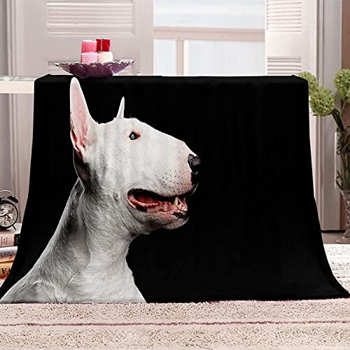 LATIZI Kuscheldecke 140x200 Bullterrier Süßer Hund Flanell Fleecedecke 3D Print Weich Flauschige Decke für Bett Sofa Sofadecke Wohnzimmerdecke Deko Camping Wohndecken von LATIZI
