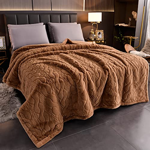 LGYKUMEG 2 Ply Raschel Koreanische Nerz-Decke, schwere Plüsch-Fleece-Decken König 79 "x91, Fuzzy warm weich, Reversible Flanell-Bettdecke, für Herbst Winter,C,200X230CM von LGYKUMEG