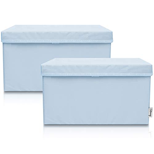 LIFENEY 2-Set Aufbewahrungsbox Kinder (37x25x21cm) I Aufbewahrungskorb für Kinderzimmer und Wohnbereich I Kinder Aufbewahrungskiste (Hellblau) von LIFENEY