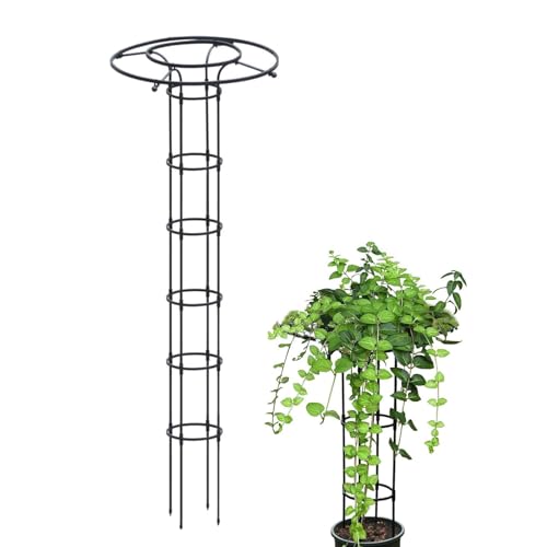 Rankhilfe Obelisk Metall,rankhilfen for kletterpflanzen,kunststoffbeschichtetes, Gartenpflanzen,Topfpflanze,Tomatenpflanzenkäfig,Reben(Size:150cm/59.1in) von LKUOU