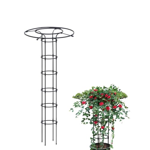 Rankhilfe for Kletterpflanzen im Freien,freistehend f. Kletterpflanzen,freistehend,für Blumen, Rose, Tomaten, Rankgitter, Topfspalier for Topfpflanzen(Size:90cm/35.4in) von LKUOU