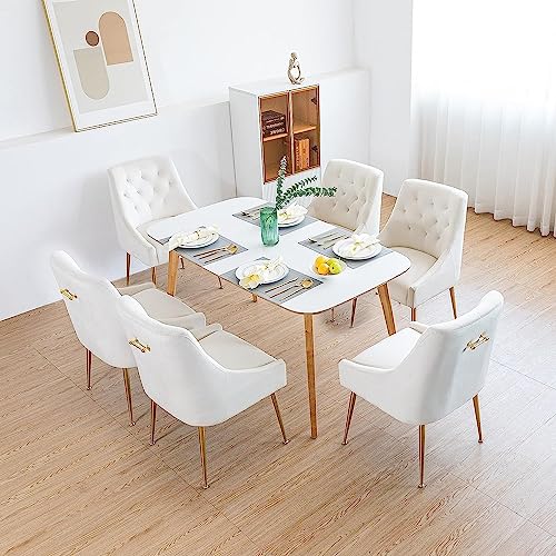 LONXIU Esszimmerstuhl 6er Set mit Dickem Samtstoff Gepolsterter Sitz, Metallbeinen, Küchenstuhl Modern Design, für Küche Esszimmer, Wohnzimmer, Schlafzimmer (Beige) von LONXIU