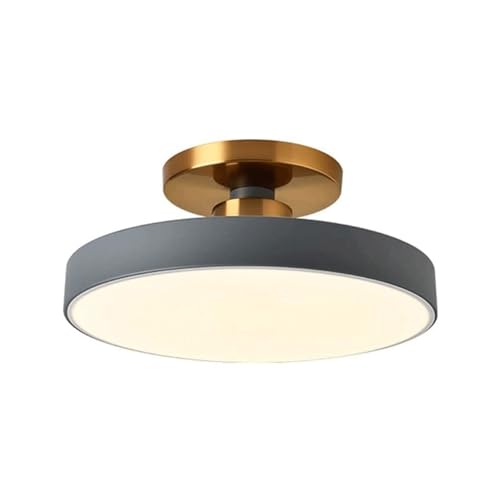 Deckenlampe Nordic Minimalist Runde Deckenleuchte LED Semi Flush Mount Deckenleuchte Deckenleuchten for Garderoben Flure Küche Gänge Flure Eingänge Wohnzimmer Balkon ( Color : 40cm- G , Size : Warm Li von LUOYAOB