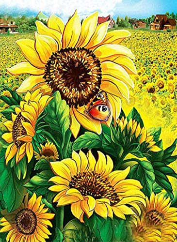 LWLFC Diamond Painting Sonnenblumenfeld 5D Diamant Painting,Diamant Painting Bilder Erwachsene Kinder 5D Diamant Painting Full Diamond Painting Set Full Kunsthandwerk für Heimwand Deko 30X40Cm von LWLFC