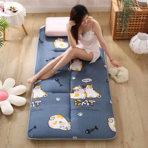 LXBche Floor Tatami, Japanische Boden Futon Matratze, Doppeltes einzelnes bedrucktes Bodenschlafkissen, faltbare Matratze Verdickung Schlafsaal Hotel Bett Matte für Camping Couch, Twin Full Queen(Colo von LXBche