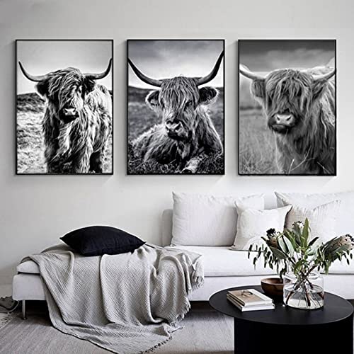 LXTOPN Lustige Hochland Kuh Wandkunst Poster Bilder,Schwarz-Weiß Leinwand Bild,Rustikale Stil Wandbilder für Wohnzimmer, Schlafzimmer Dekor,ohne Rahmen (3*kuh-3, 40x60cm*3) von LXTOPN