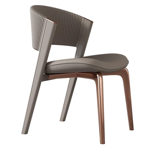 LYXXJRYBHD Ergonomic Chair, Schminkstuhl, Metallstühle, Gepolsterte Esszimmerstühle, Geeignet für Wohnzimmer, Lounge, Zuhause (Color : H) von LYXXJRYBHD