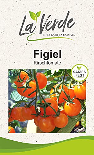 Figiel Tomatensamen von La Verde MEIN GARTEN UND ICH.