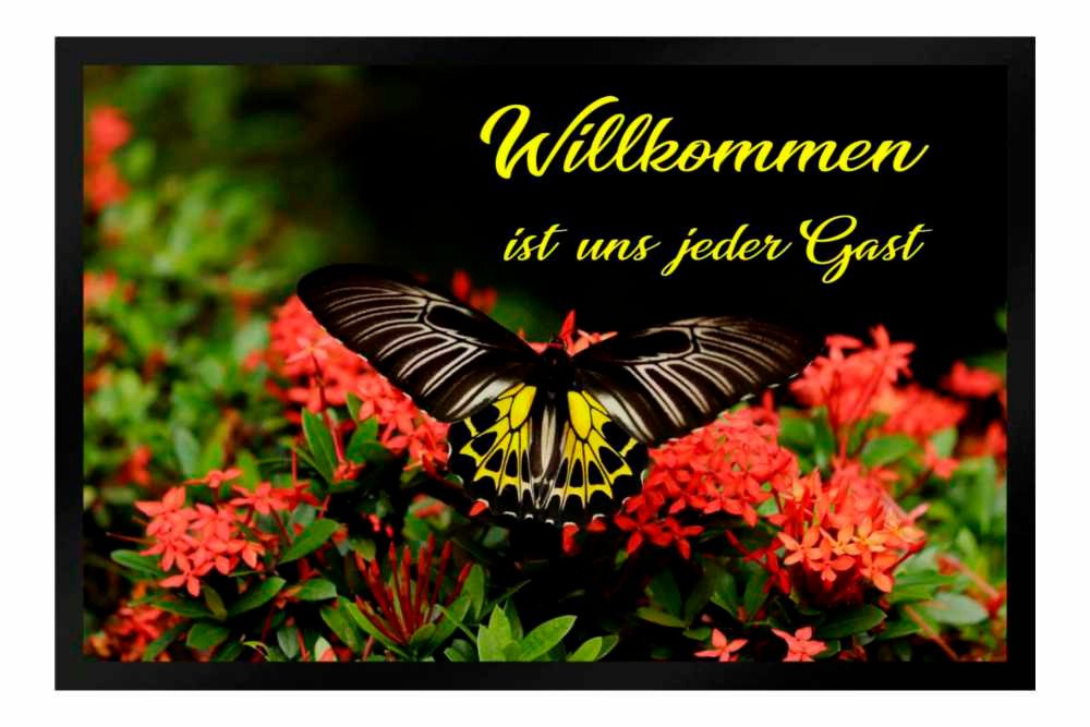 Fußmatte Schmutzfangmatte Willkommen Gast Schmetterling Blumen F477, Ladreas, 60x40 von Ladreas