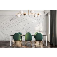 Abstrakte Konturlinie Abnehmbare Vinyl Wandbild/Peel & Stick Linien Tapete Illusion Foto von LandscapeWalls