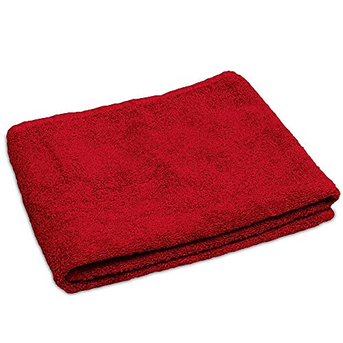 Lanudo® Luxus Handtuch 600g/m² Pure Line 50x100 cm mit Bordüre.100% feinste Frottier Baumwolle in höchster Qualität, Farbe: Rot von Lanudo