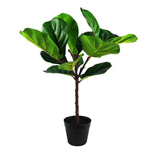 Leaf Fiddle Fig Design UK Kunstpflanze Feige Baum Pflanze schwarz Kunststoff Topf, Grün, 60 cm von Leaf