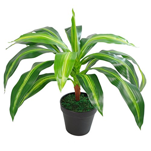 Leaf Kunstpflanze Dracaena, Blätter, 40 cm, Grün, LEAF-7079 von Leaf