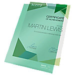 Leitz Super Premium Sichthüllen DIN A4 Grün PVC (Polyvinylchlorid) 150 Mikron 100 Stück von Leitz