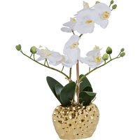 Leonique Kunstpflanze "Orchidee", Kunstorchidee, im Topf von Leonique