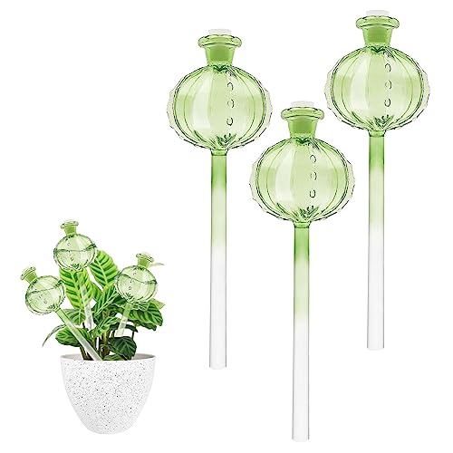 Set mit 3 Kugeln für die Bewässerung von Pflanzen im Innenbereich Glas Bewässerungskugel für Pflanzen Wasserspender für Pflanzen und Blumen für die Bewässerung Ihrer Pflanzen im Urlaub (01) von Les-Theresa