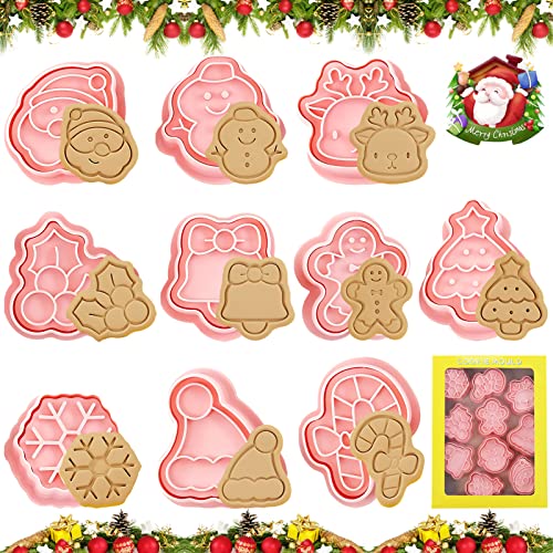 Lets Joy Weihnachten Ausstechfomen Set, 10 Stück Weihnachten Ausstecher, Weihnachten Plätzchenausstecher Keksausstecher für Kinder, Plätzchen Weihnachten für Kuchen Keks Fondant von Lets Joy