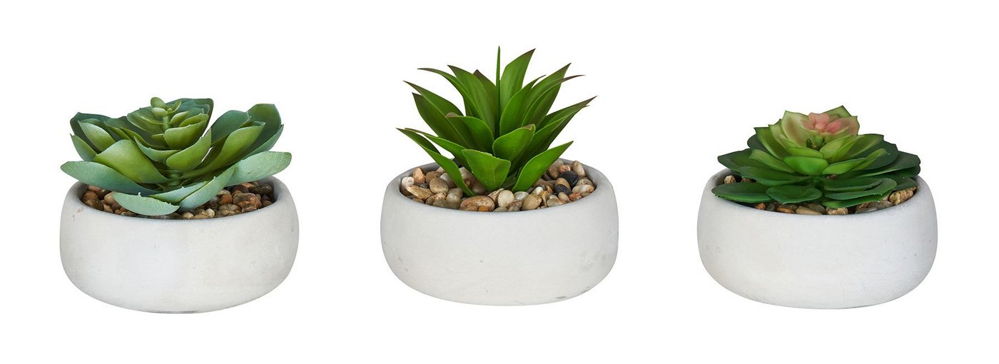 Kunstpflanze, Levandeo®, 3er Set Sukkulenten 12cm Beton Deko Blume Kunstpflanze Kunstblume Tischdeko von Levandeo®