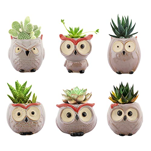 Lewondr Succulents Flowerpots, 6 Pack 2.5 inch Owl Flower Pot Bonsai Plant Pots Ceramics Planter Container Set for Home Office Desk Shelf Window Décor, Colorful 02 von Lewondr