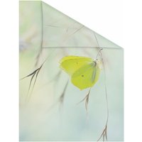 LICHTBLICK ORIGINAL Fensterfolie "Schmetterling Grün", 1 St., blickdicht, strukturiertKlebepunkte, selbstklebend, Sichtschutz von Lichtblick Original
