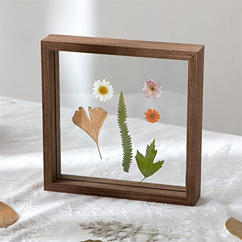 Lifup Pflanzenrahmen Display, Box Frame Display, Doppelseitig Gepresste Blumenrahmen, Gepresster Blumenrahmen für den Schreibtisch Mahagoni 20.3 x 25.3 cm von Lifup