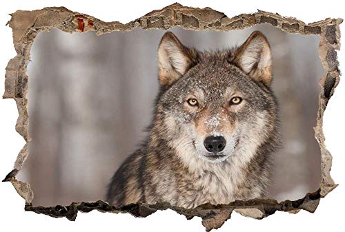 3D Wandtattoo Mauerloch Wandsticker Wandaufkleber Durchbruch Wolf Tier Schnee Winter selbstklebend Schlafzimmer Wohnzimmer 70x110cm von Linyuan