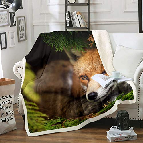 Loussiesd Fuchs Drucken Flanell Fleecedecke 220x240cm 3D Wildtier Thema Kuscheldecke Wald Fuchs Wohndecke für Jungen Mädchen Kinder Decke Leichtes Natur Wildlife Muster für Bettsofa von Loussiesd