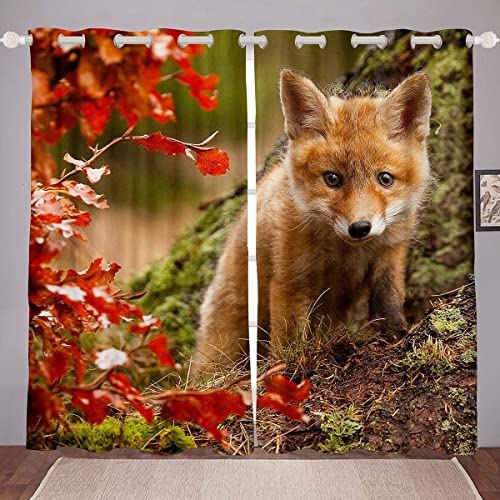 Loussiesd Niedlich Fuchs Drucken Fenstervorhang 245x140cm 3D Tiere Thema Vorhänge für Jungs Mädchen Wald Fuchs Blickdichte Vorhänge Stain Resistant Natur Herbst von Loussiesd