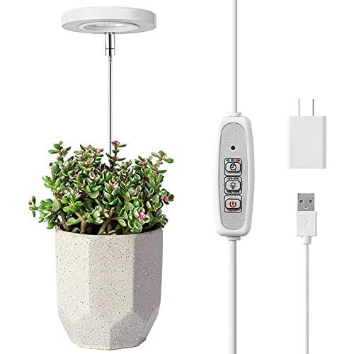 Pflanzenlampe Led Pflanzenlicht Vollspektrum Grow Light, Stehleuchte-Rot/Blau Zeilengesteuerte 4 Lichtmodi Wachsen Licht Vollspektrum Für Zimmerpflanzen von Luckxing