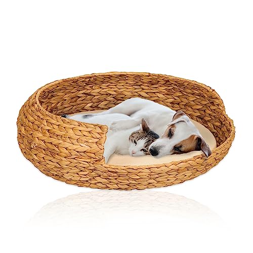 Lycce Hundebett Katzenbett Opal Wasserhyazinthe Natur Gr. 3 (Ø 62 cm) von Lycce