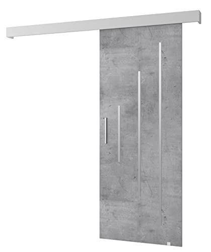 MEBLE KRYSPOL Salwador Y Schiebetürsystem mit Schienenabdeckung - Zierstreifen - Wandschiebetüren für Innenräume - Loftartige Einbautüren - Solide Konstruktion - 90 x 204 cm - Beton von MEBLE KRYSPOL