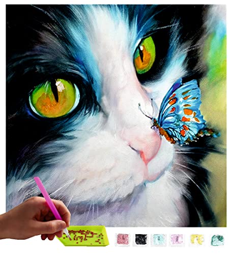 MISHBAY Diamond Painting Katze - 30x30cm Diamond Painting Katzen Erwachsene - Diamant Painting Bilder Katze - DIY 5D Satz Wand Dekor Diamantstickerei von MISHBAY