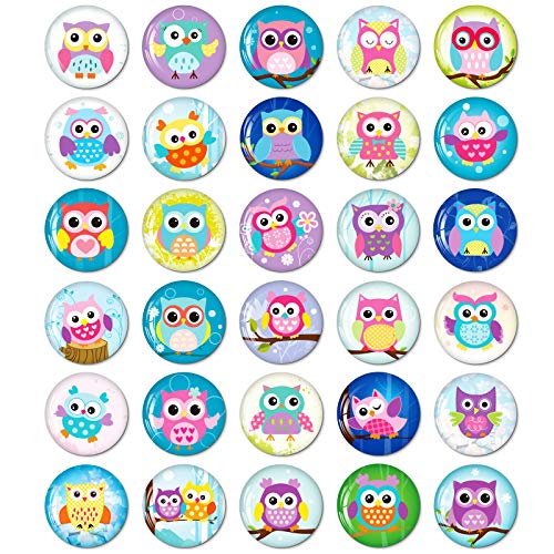 30PCS Eule Kühlschrankmagnete für Kühlschrank Nette Lustige Magnete Küche Schulschränke Klassenzimmer Whiteboard Büro Kabine Magnettafel Dekorative Magnete Geschenke für Erwachsene Kinder 30PCS Eule Kühlschrankmagnete für Kühlschrank Nette Lustige Magnete Küche Schulschränke Klassenzimmer Whiteboard Büro Kabine Magnettafel Dekorative Magnete Geschenke für Erwachsene Kinder von MORCART