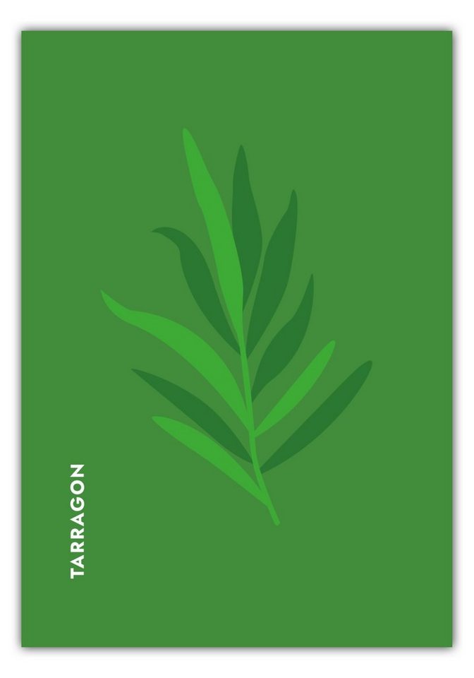 MOTIVISSO Poster Kräuter - Estragon - Tarragon von MOTIVISSO