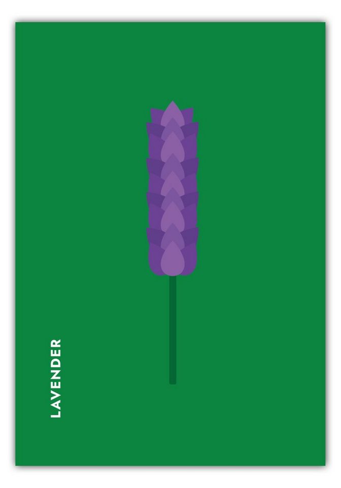 MOTIVISSO Poster Kräuter - Lavendel - Lavender von MOTIVISSO