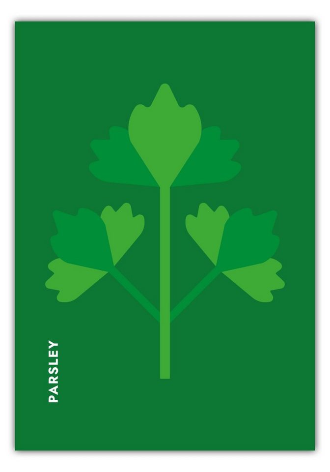 MOTIVISSO Poster Kräuter - Petersilie - Parsley von MOTIVISSO