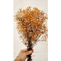 Schleierkraut, Gypsophila Konservierte Orange Farbe, Getrocknete Blumen, Pflanzen, Diy-Blumenarrangements, Orange Schleierkraut von MYBOUQUETS