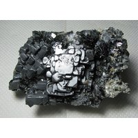 Attraktive Galena Mit Sphalerit Aus Der Berühmten 9. September Mine, Bulgarien, Natur Kristall, T Op Zustand, N28519 von Madanminerals