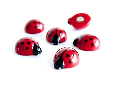 6 x Kühlschrankmagnete Ladybug 20x17x10mm Magnete für Pinnwand Magnettafel - Magnete für Kühlschrank, Magnetboard, Kinder Magnetwand, Tiermagnete von Magnosphere