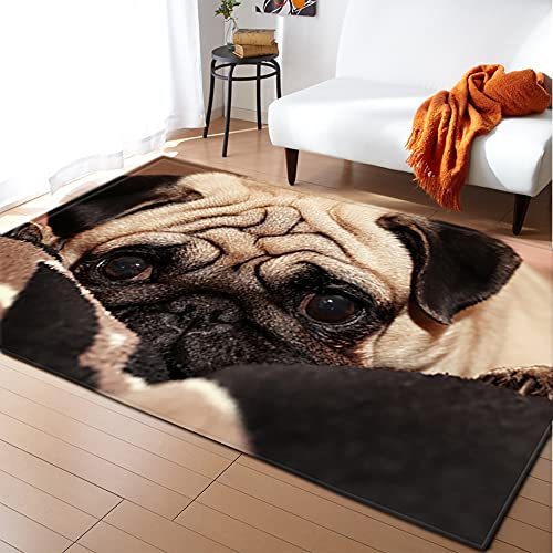 Mateju Teppich Schlafzimmer Wohnzimmer Teppich 3D Tierdruck Dekoration Waschbarer Flanell Teppiche Balkon Terrasse Küchenteppich Bodenmatte Fußmatte (80x120cm,Mops) von Mateju