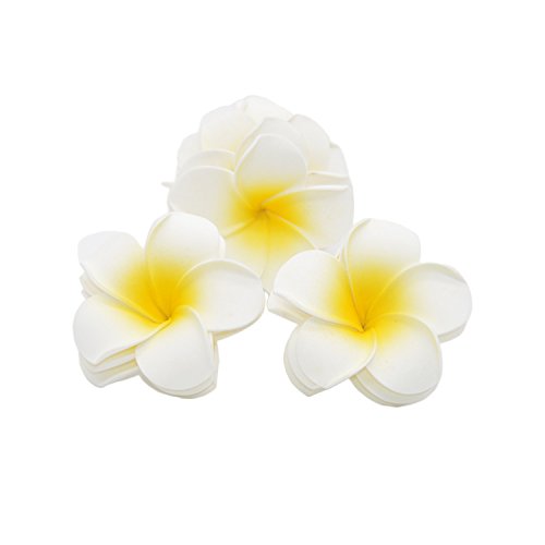 medigy 100 6,1 cm Plumeria Hawaiian Schaumstoff Frangipani Blumen Künstliche Blumen für Hochzeit Party Dekoration?, weiß, 6cm von Medigy