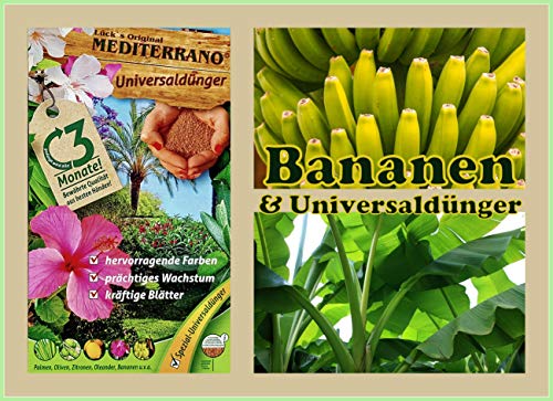 Bananendünger, Bananenbaumdünger 3Kg Mediterrano Original von Mediterrano