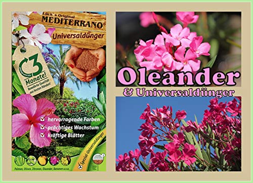 Oleanderdünger 3Kg für Garten und Balkon von Mediterrano