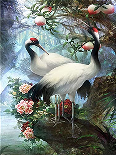 Meecaa Malen nach Zahlen Vogelbaum Blume Kit für Erwachsene Anfänger DIY Ölgemälde 40,6 x 50,8 cm (Tier, gerahmt) von Meecaa