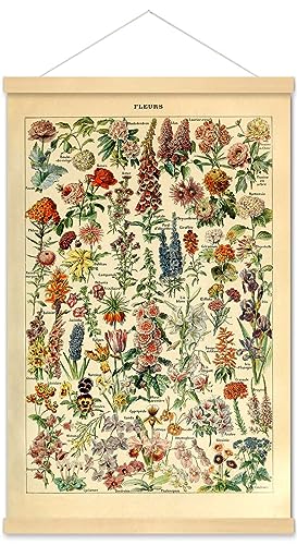 Meishe Art Vintage Poster Druck Blume Floral Botanical Collections Garten Blumen und Pflanzen Identifikation Referenzdiagramm Diagramm gerahmt Home Wall Decor von Meishe Art