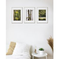 Fotografie 3Er-Set Natur | 13x18cm/Fotodruck Wanddeko von MelWenzlPhotography