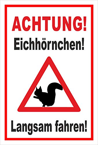 Melis-Folienwerkstatt Schild Eichhörnchen langsam Fahren - 30x20cm - Bohrlöcher - 3mm Hartschaum – 20 VAR S00359-160-B Melis-Folienwerkstatt Schild Eichhörnchen langsam Fahren - 30x20cm - Bohrlöcher - 3mm Hartschaum – 20 VAR S00359-160-B von Melis-Folienwerkstatt