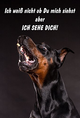 Melis-Folienwerkstatt Schild Warnschild Achtung Dobermann – Ich Sehe Dich – Hund Hundeschild 30x20cm Hartschaum Aluverbund -S25J Melis-Folienwerkstatt Schild Warnschild Achtung Dobermann – Ich Sehe Dich – Hund Hundeschild 30x20cm Hartschaum Aluverbund -S25J von Melis-Folienwerkstatt