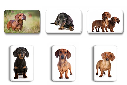 Merchandise for Fans Dackel/Teckel/Dachshund - 6 rechteckige Kühlschrankmagnete 7X 4,5 cm - 03 für Memoboard Pinnwand Magnettafel Whiteboard Merchandise for Fans Dackel/Teckel/Dachshund - 6 rechteckige Kühlschrankmagnete 7X 4,5 cm - 03 für Memoboard Pinnwand Magnettafel Whiteboard von Merchandise for Fans