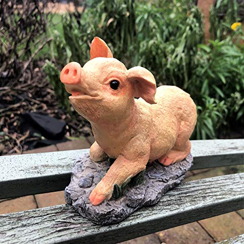 Mezzaluna Gifts Gartendeko Terrasse Teich Tier Ornament – Küken | Hund | Kaninchen | Schwein (Schwein) von Mezzaluna Gifts